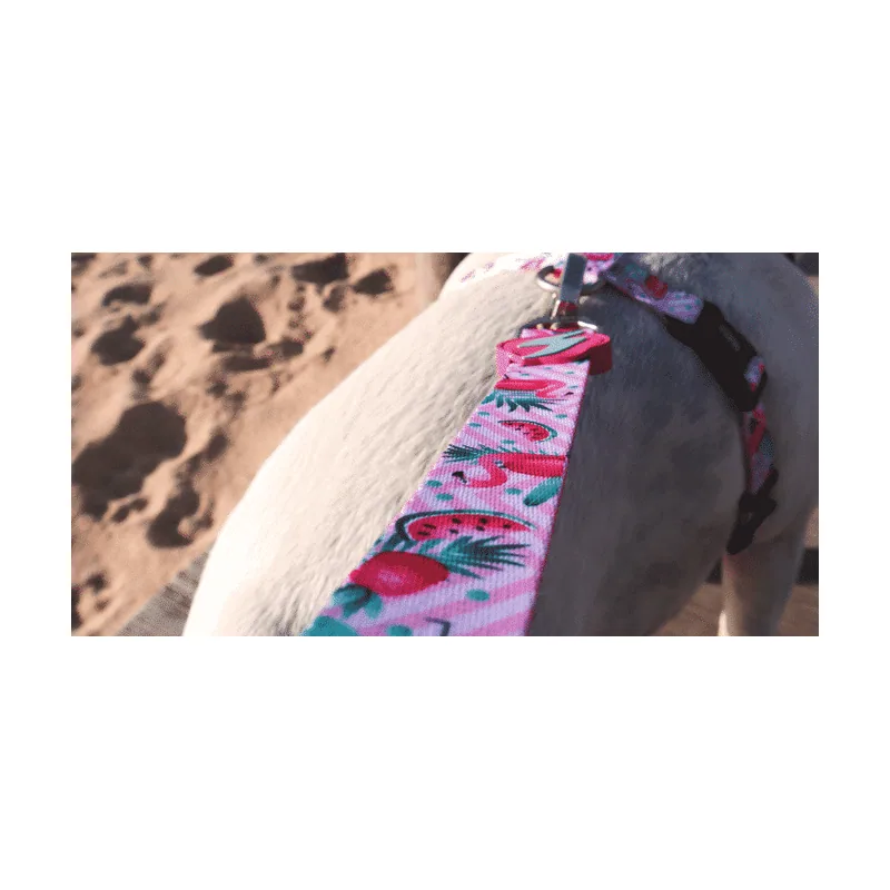 Correa Flamingo para Perros XS