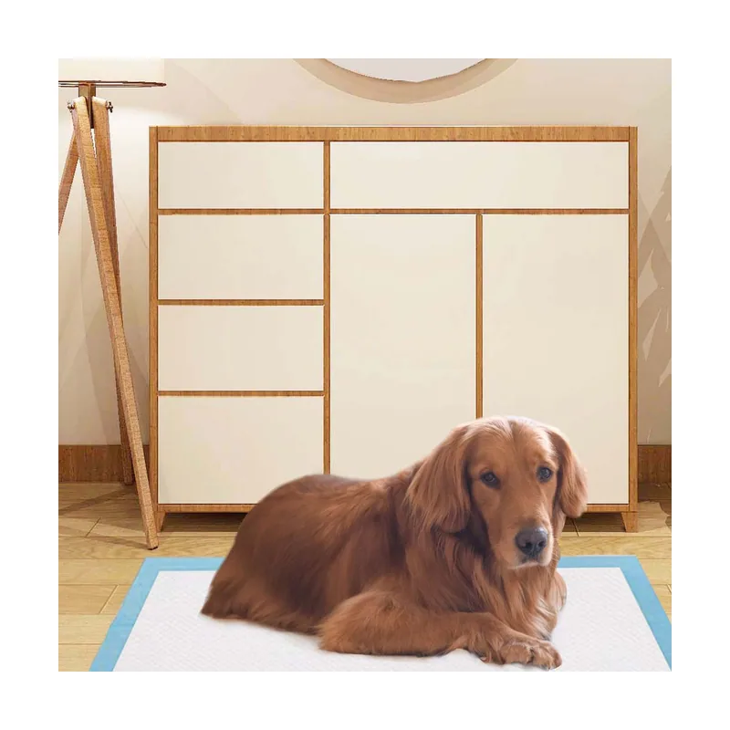 100 Piezas Alfombra Desechable para Perros Absorbentes Secado