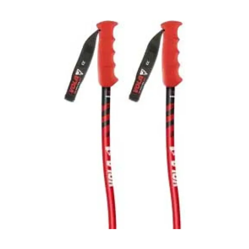 Bastones Gs Senior Nordic Sr Sl Alu-carbon World Cup Aluminio