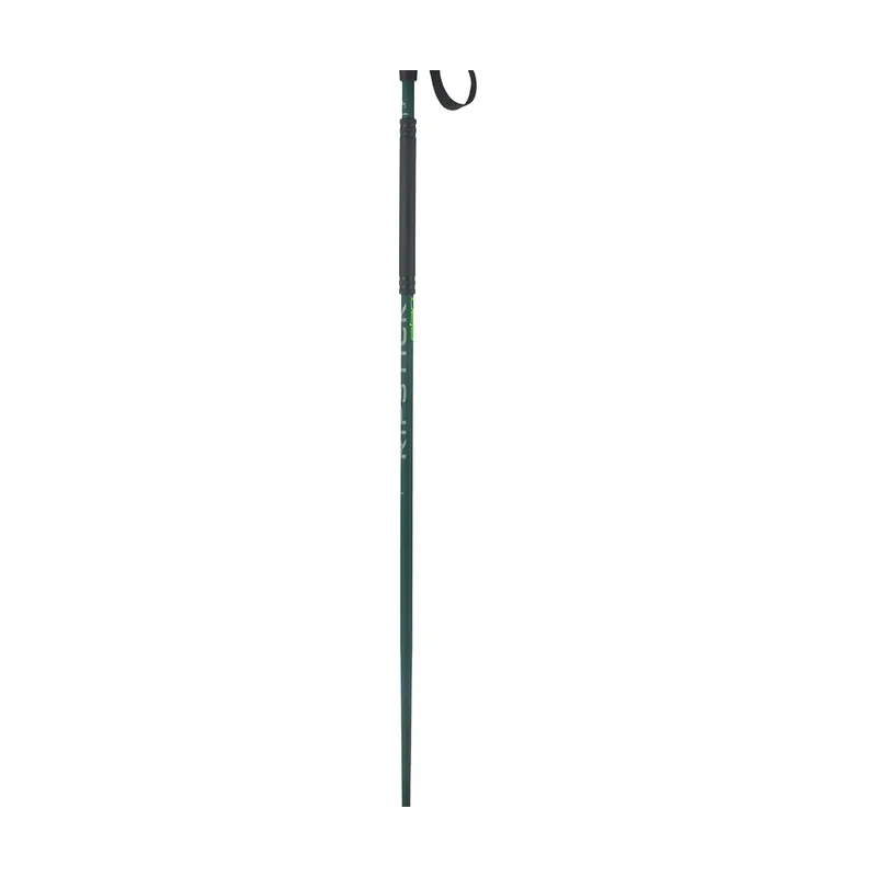 Bastones Ripstick Rod