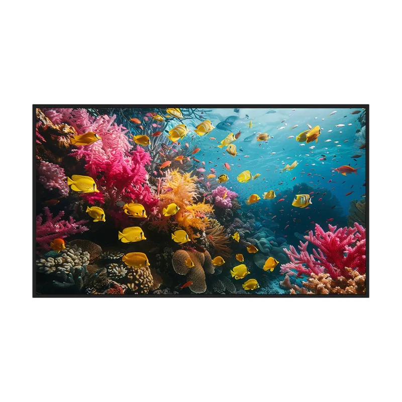 Monitor de Señalización Digital 43" E-LED 4K 60Hz