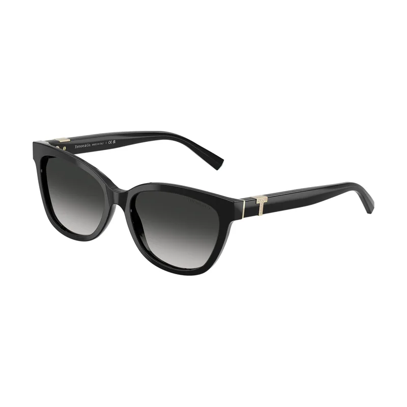 Gafas de Sol TF 4237B 80013C Calibre 55