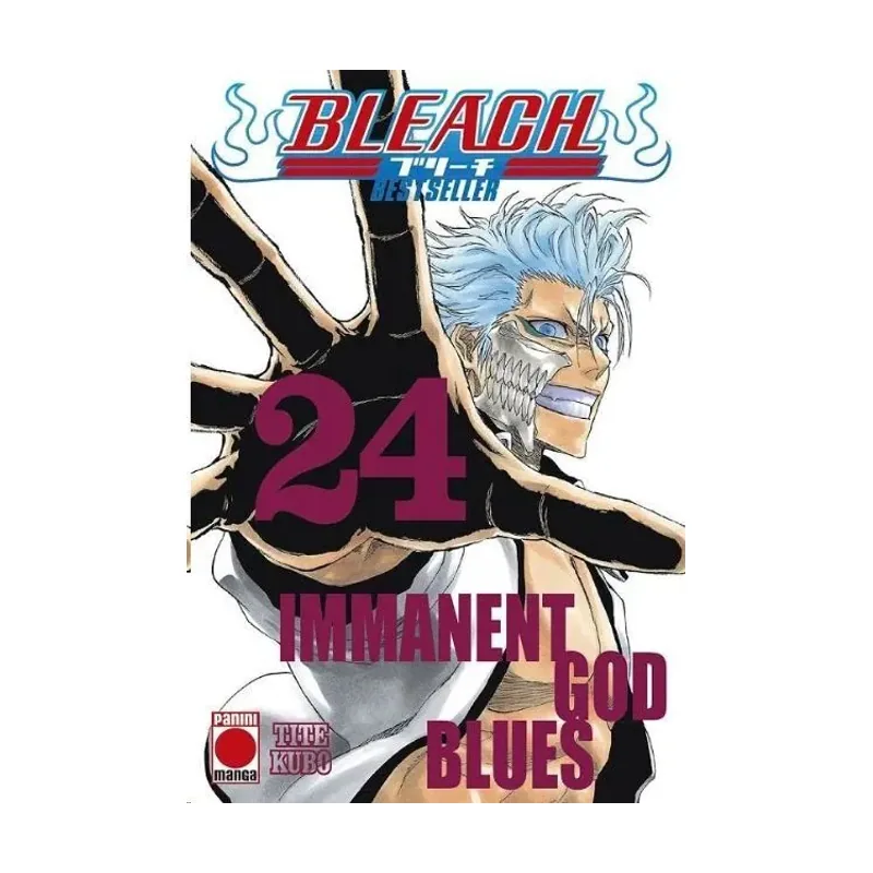 Bleach: Bestseller #24
