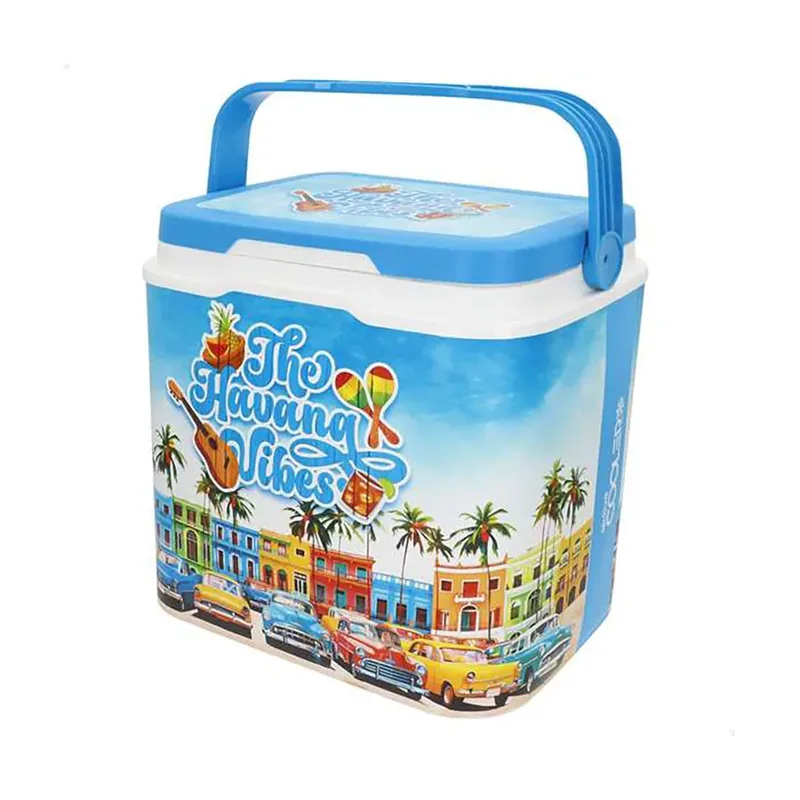 Tendencias De Verano En Refrigeradores De Plástico Rígido 24l