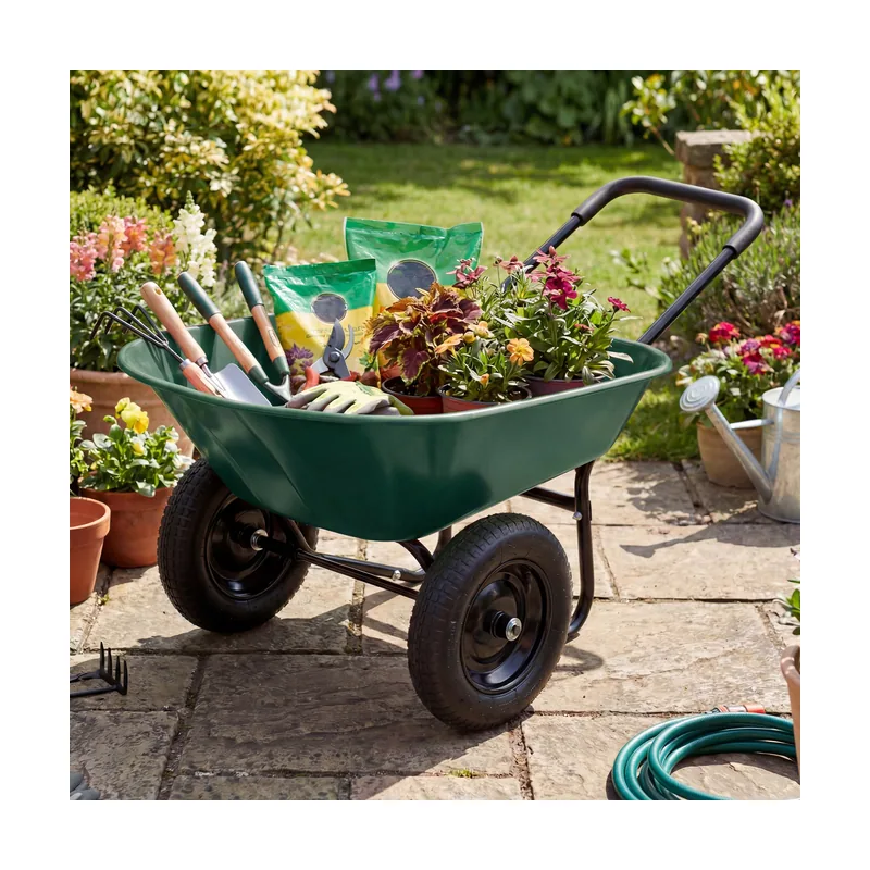 Carretilla con 2 Ruedas 35 cm 65 cm Verde