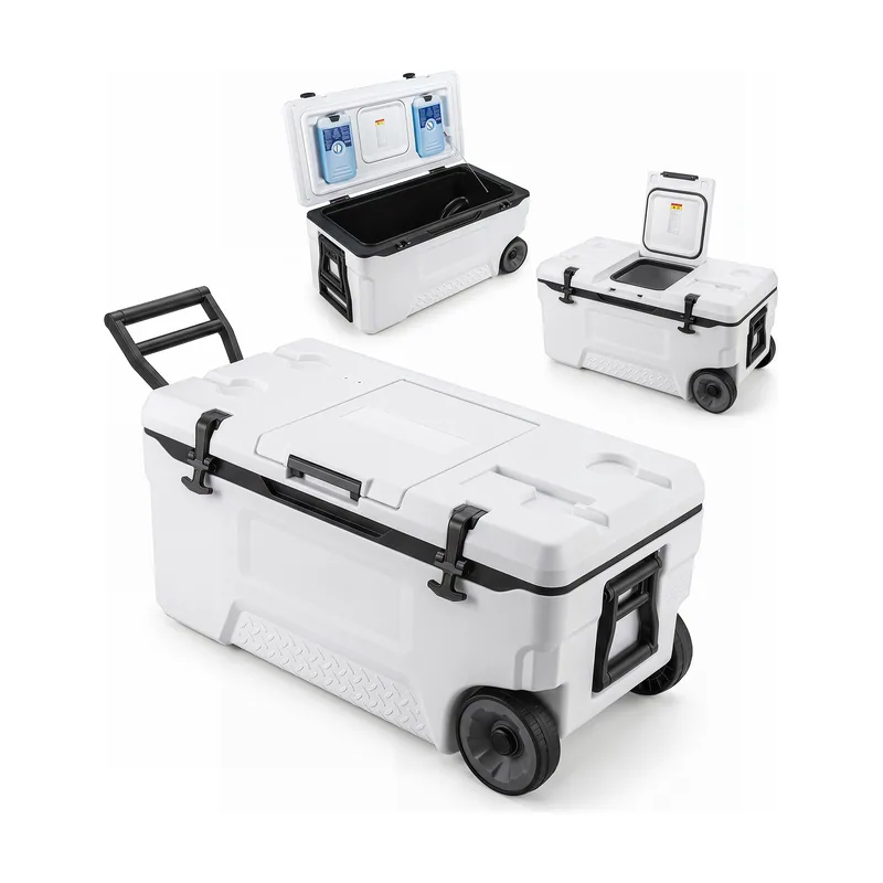 Nevera con Ruedas 70L Portátil Carcasa HDPE Interior PP Ventana Abatible Asas