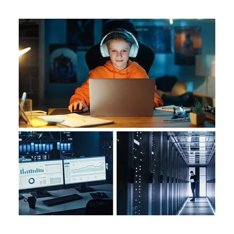 53774 Alimentation d'énergie Non interruptible Interactivité de Ligne 1 kVA 600 W 1 Sorties CA