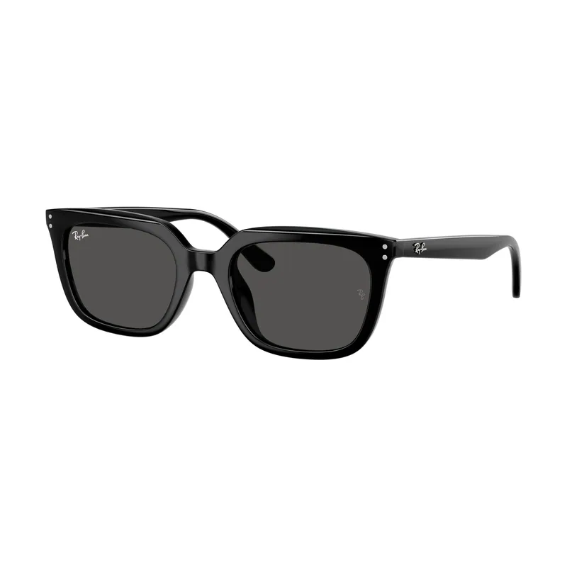 Gafas de Sol RB 4439D 901/87 Calibre 54