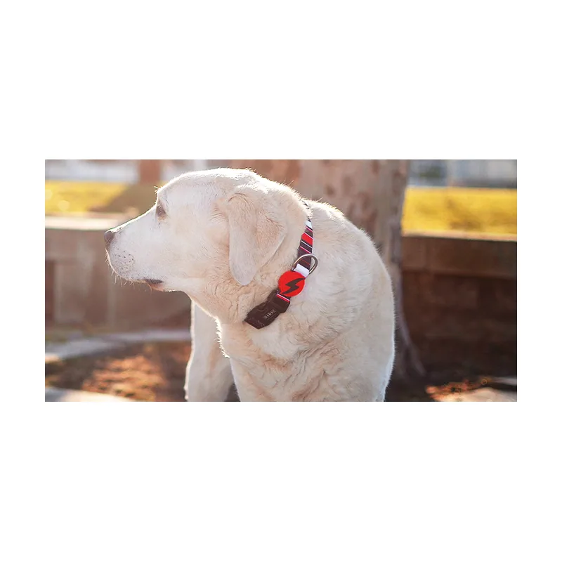 Collar Slide para Perro L