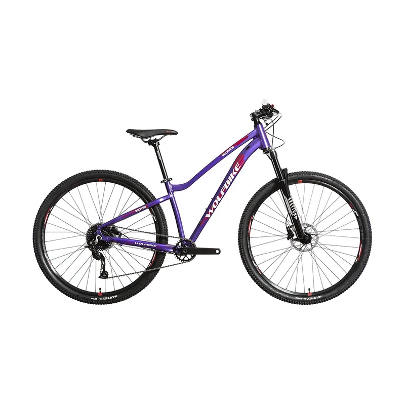 Bicicleta De Mtb Valkyria 29" Alivio M3100 1x9s