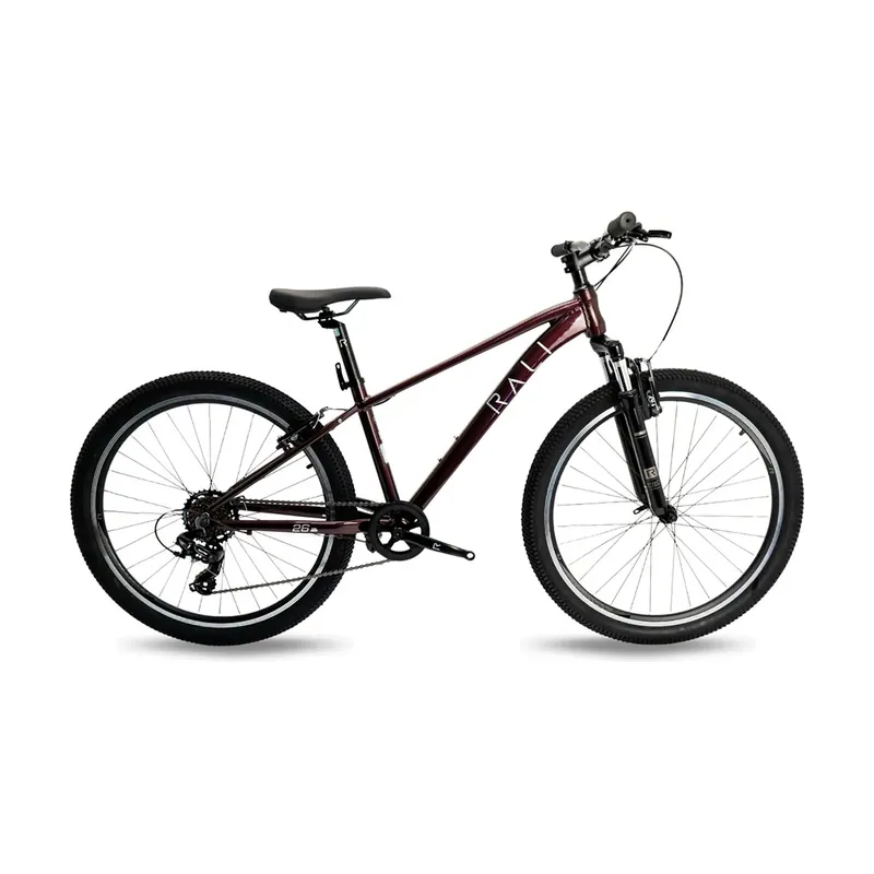 Bicicleta De Mtb Pro 1