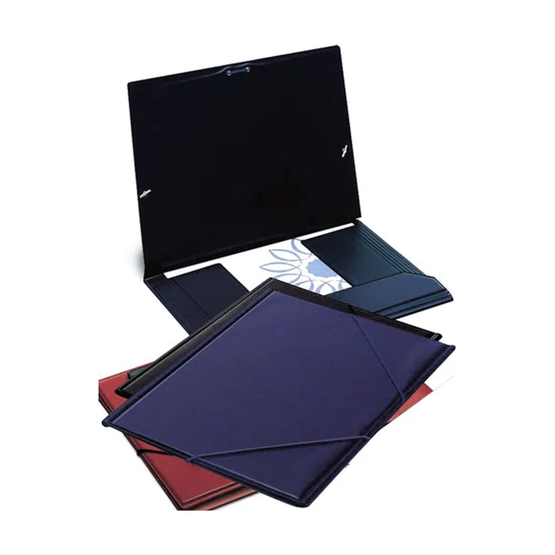 Carpeta de gomas y bolsa pvc fº