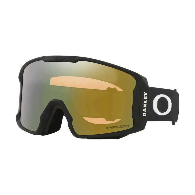 Goggles Máscara Esquí Line Miner M Prizm