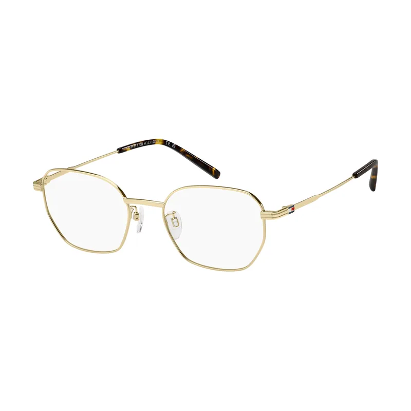 Gafas Graduadas TH 2300/F J5G 54