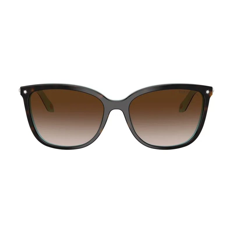Gafas de Sol TF 4105HB 81343B 55