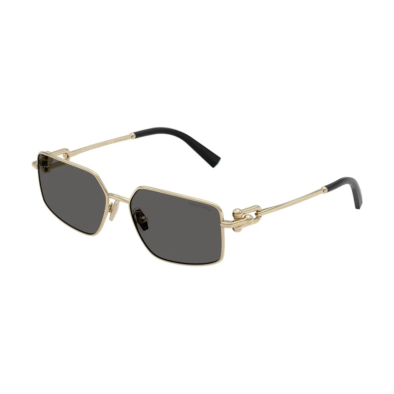 Gafas de Sol TF 3111 6021S4 58