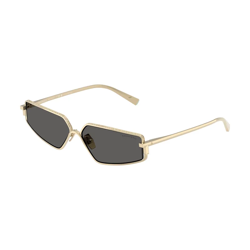 Gafas de Sol TF 3113KB 6220S4 60