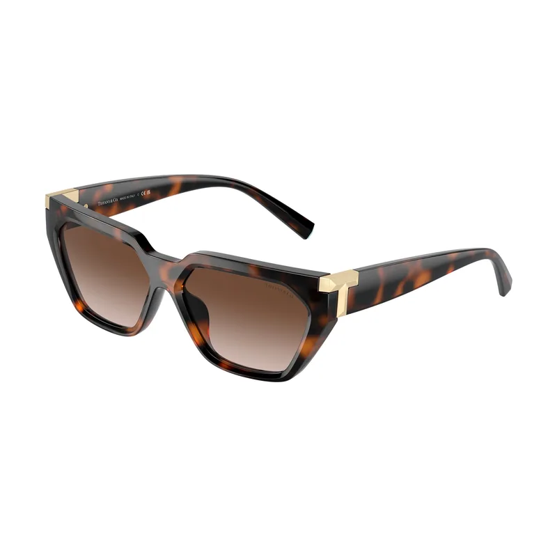 Gafas de Sol TF 4205U 80153B 56