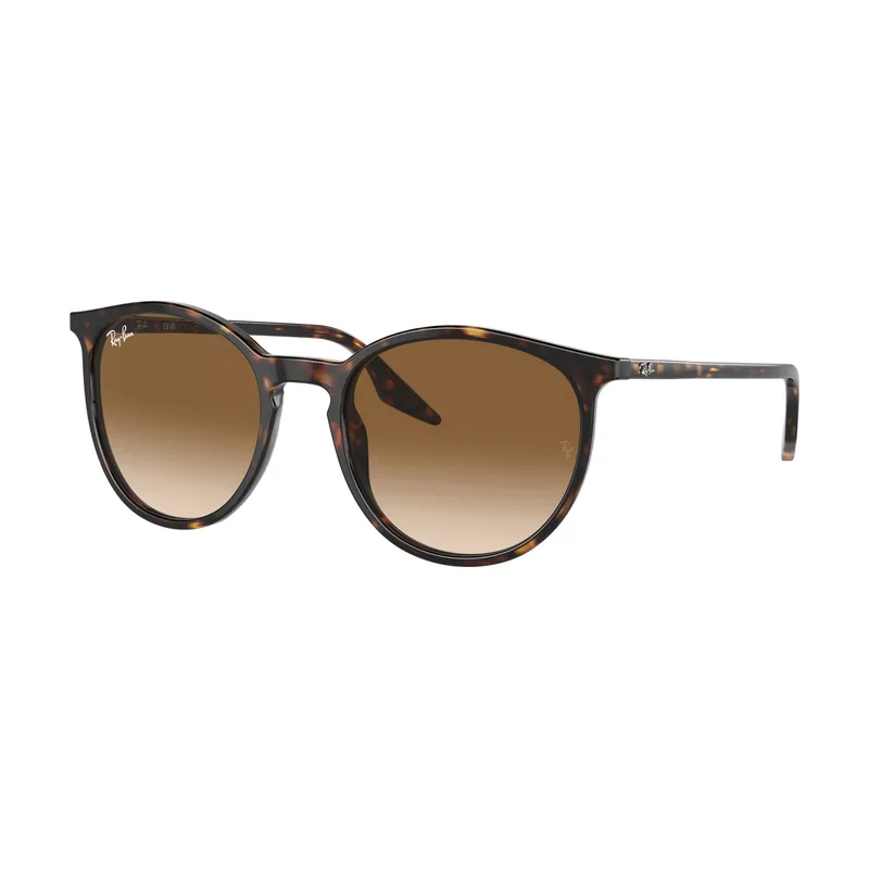 Gafa de Sol 0RB2204-902/51