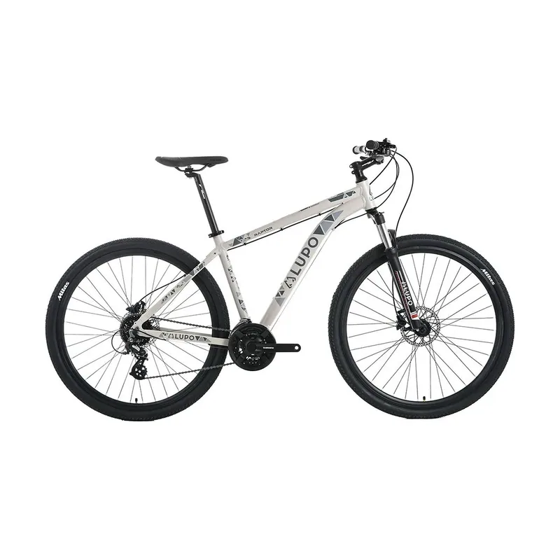 Bicicleta De Mtb Raptor New Age 1