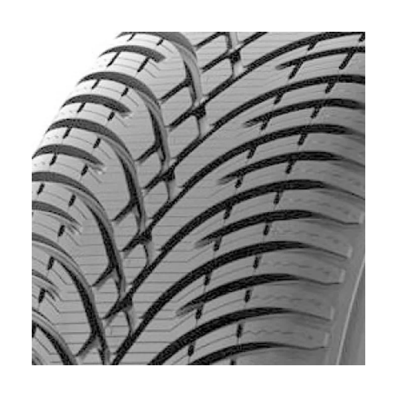 BFGoodrich BF Goodrich g-Force Winter 2 225/60 R18