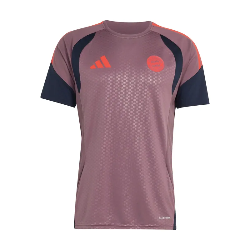 Camiseta Bayern de Múnich Cup 2026/27 para hombre