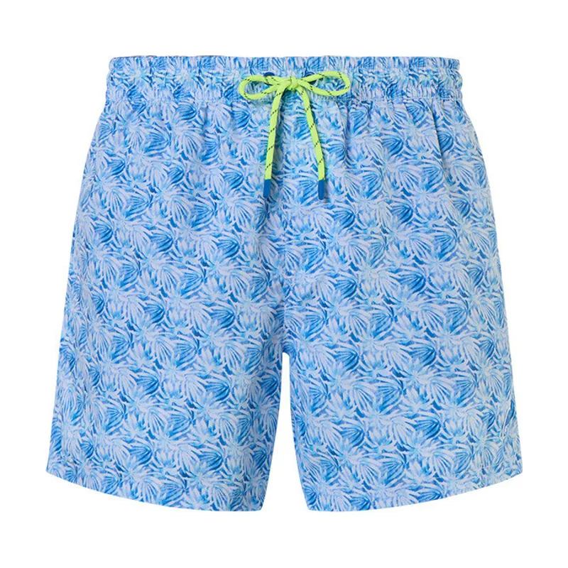 Bañador estampado Sails Basic Volley