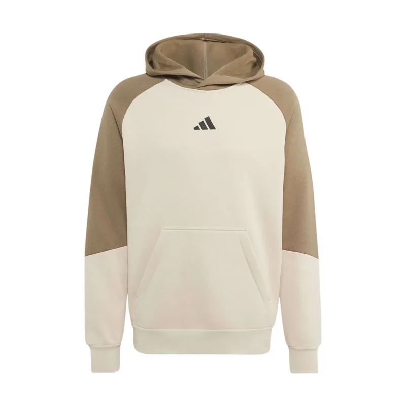 Sudadera con capucha polar Colour Block