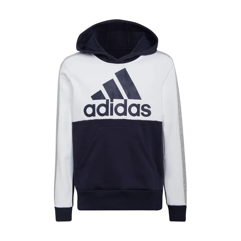 Sudadera para niños Colorblock Fleece
