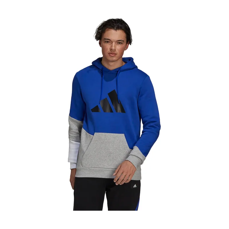 Sudadera con capucha Sportswear Colorblock