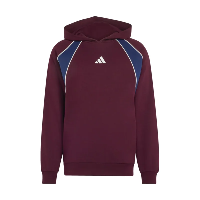 Sudadera con capucha Seasonal Essentials