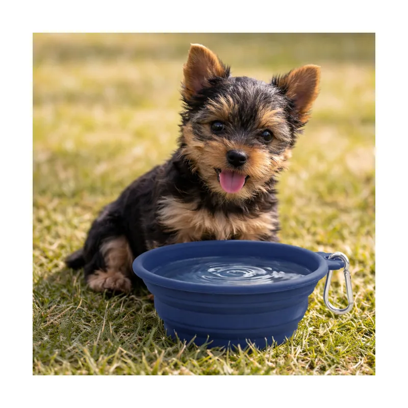 Gotoo Comedero Plegable y Portátil de Silicona Azul para perros y gatos