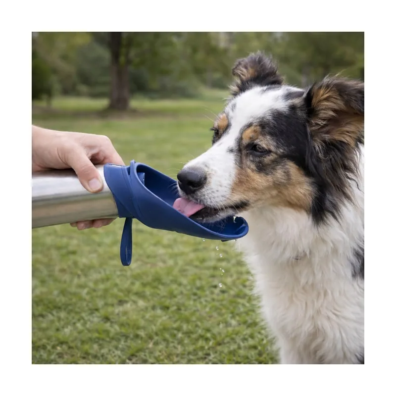 Gotoo Botella Bebedero Portátil de Acero Inoxidable Azul para perros