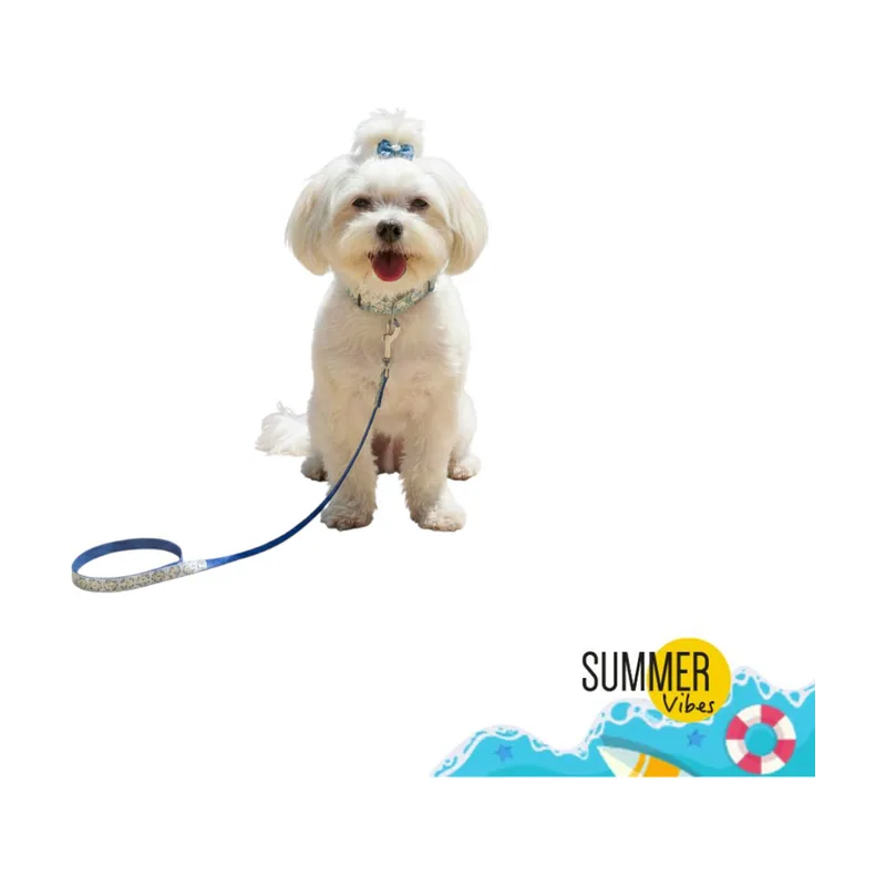 Summer Vibes Pack Correa y Collar Dolce Vita para perros