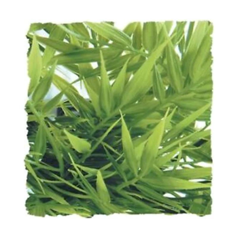 Planta Artificial Bambú para terrarios