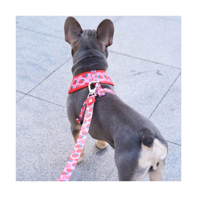 Dukier Correa Diseño Berry Love para perros