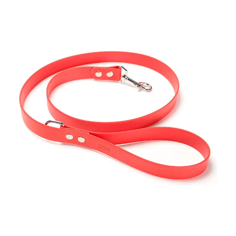 Gotoo Correa Biothane roja para perros