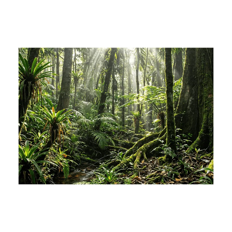 HP PB4G2ah16 R5-220