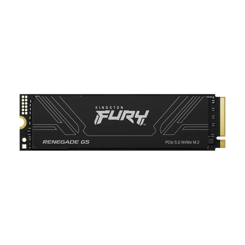 Kingston 1T Fury Renegade G5 M.2 2280