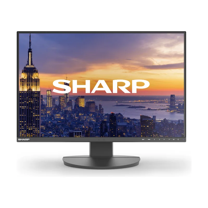 Sharp Multisync DD-EA242W