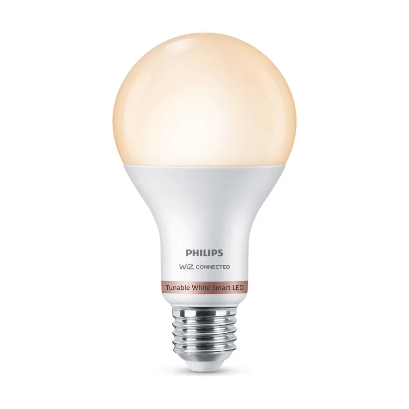 Philips PHL Bulb WBT Reg Blancos A67