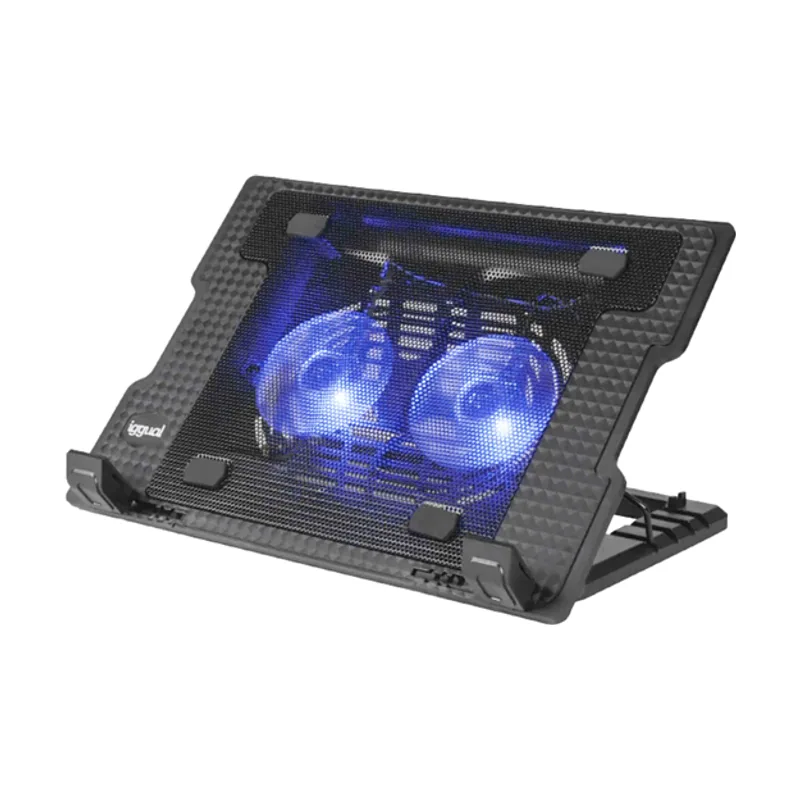 Iggual Refrigerador portátil 2 ventiladors RP2V17A