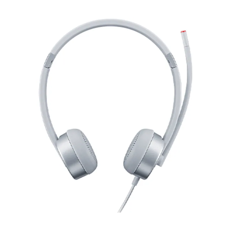 Lenovo Stereo Analog 100