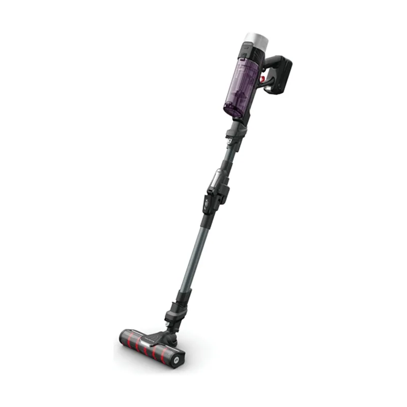 Rowenta RH2048WO X-FORCE Flex 9.60 Allergy Parqu Recargable