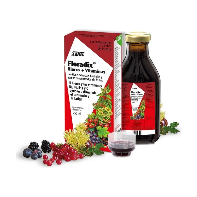 Salus Floradix Floradix Hierro Y Vitaminas 250 Ml