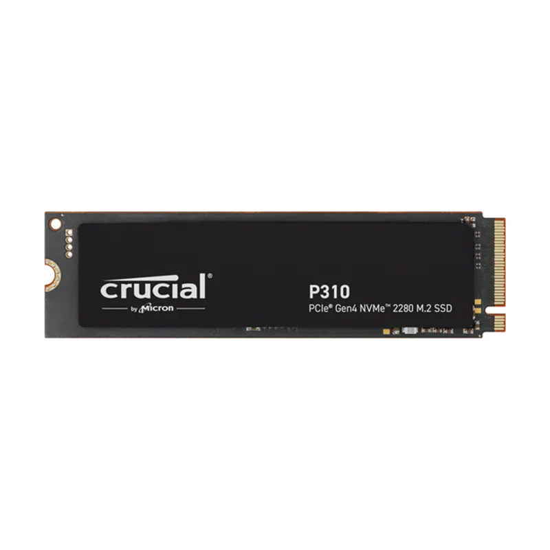 Crucial P310