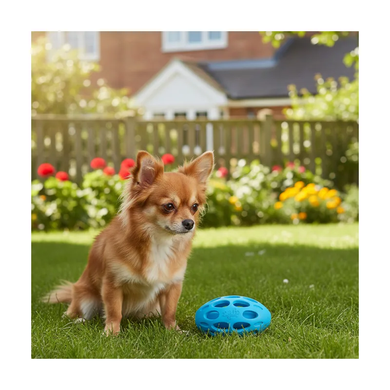All For Paws Meta Ball Pelota Azul Juguete para perros