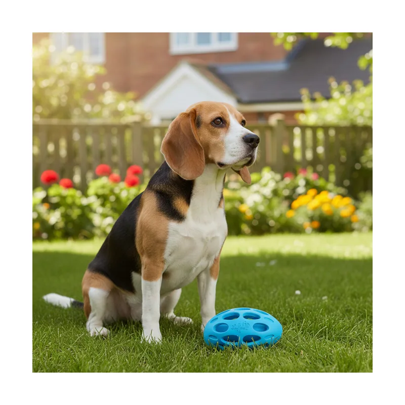 All For Paws Meta Ball Pelota Azul Juguete para perros