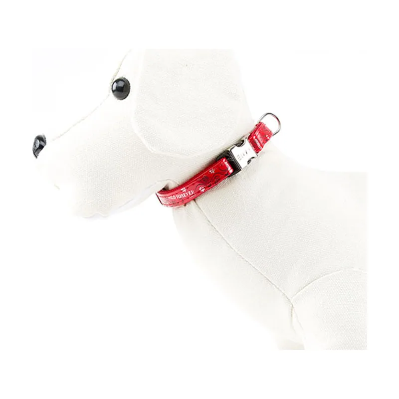 Envy Wild Forever Collar Rojo para perros
