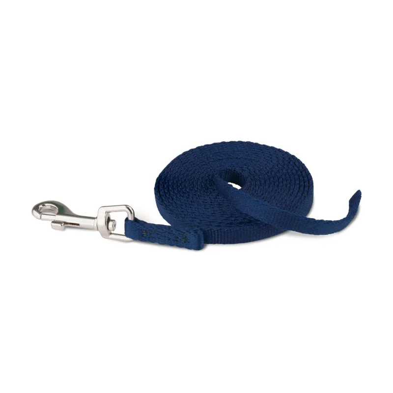 Company Of Animals Coachi correa de adiestramiento azul para cachorros